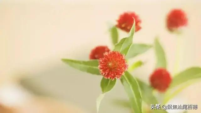 深度好文:人生如棋 有进就有退!