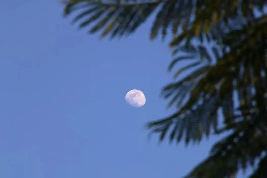 20190920104534971