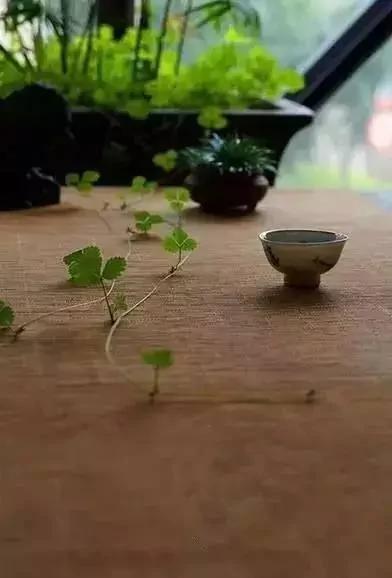 人品决定你的财富!