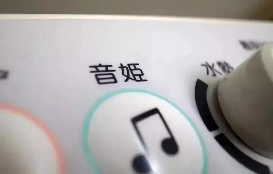 日本厕所的“神秘按钮” 大家都知道吗?而且只有女厕才有!