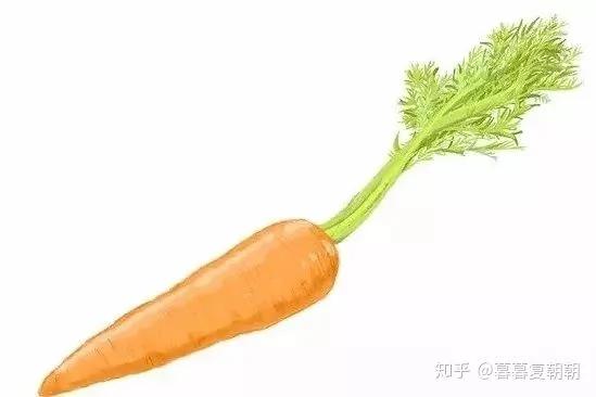 9种体质 看看你属于哪一种