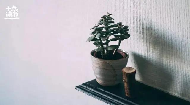 古代俗语:一人不进庙 二人不看井 三人不抱树 独坐莫凭栏!