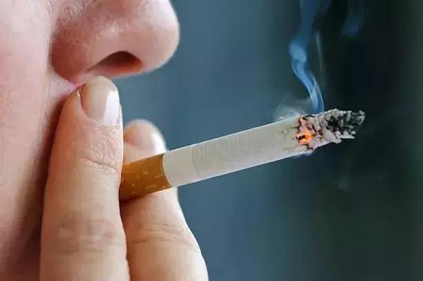 免疫细胞 是人体“最好的医生” 它强你就强!七大行为会摧毁它 别不当回事