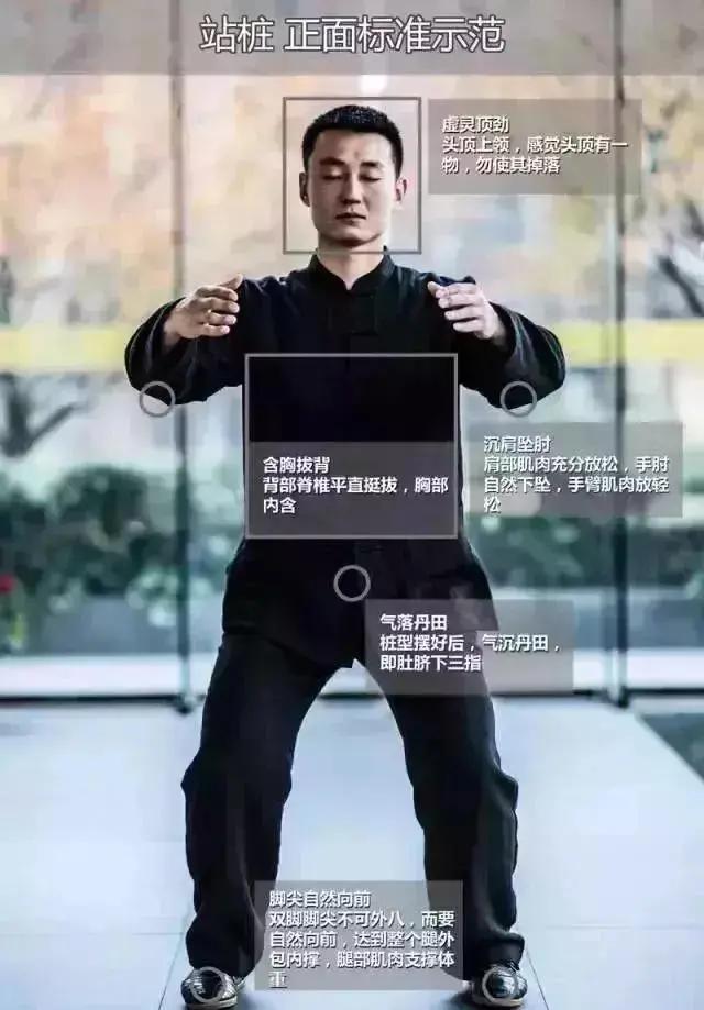 百炼不如一“站”;每天10分钟 调五脏、护关节