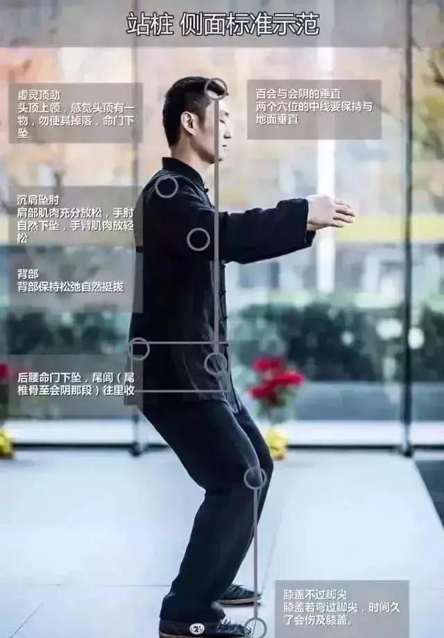 百炼不如一“站”;每天10分钟 调五脏、护关节
