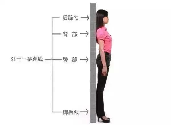 百炼不如一“站”;每天10分钟 调五脏、护关节