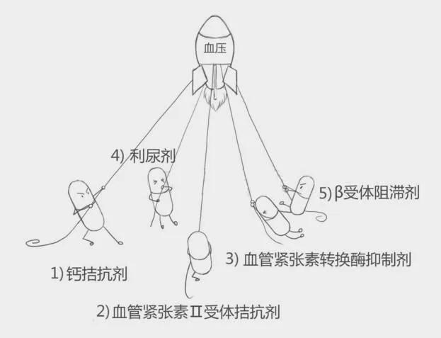 高血压怎么选药 有个AB/CD原则一定要知道 合并其他病这样用药