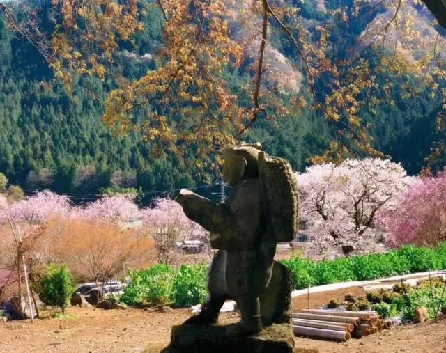 日本最美的寺庙 不烧香却处处种着花 一年四季都是彩色!