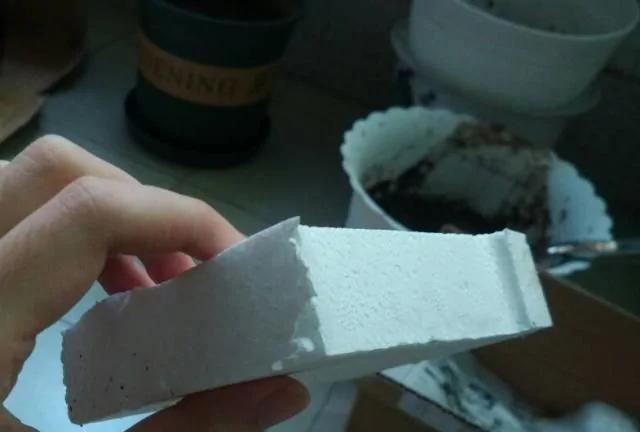 家家都有的“废物” 却是养花的宝贝 掰碎垫盆底 花草不烂根