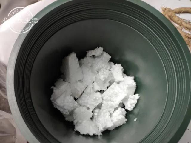 家家都有的“废物” 却是养花的宝贝 掰碎垫盆底 花草不烂根