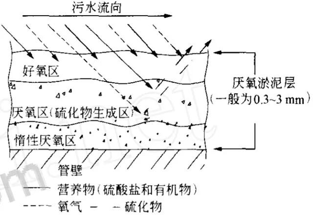 上厕所被臭到中毒身亡 公厕里的臭气有多可怕?
