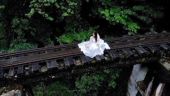 阿里山隐藏版8大景点 逛秘境铁道 仙境森林!