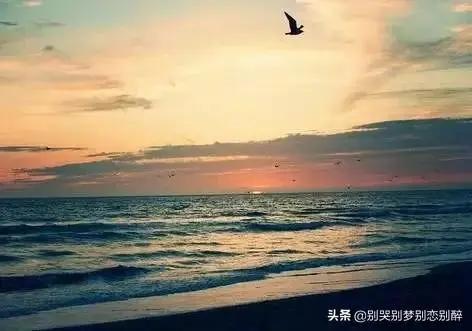 有一天 我去世了 看完泪奔