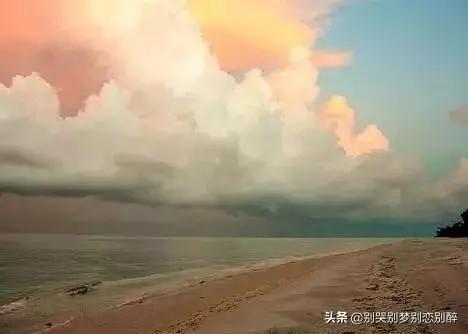 有一天 我去世了 看完泪奔
