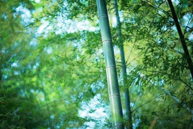 范仲淹家风:800年兴盛不衰的秘密 都藏在这8个字中