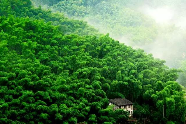 范仲淹家风:800年兴盛不衰的秘密 都藏在这8个字中