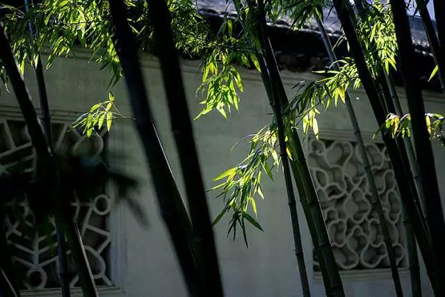范仲淹家风:800年兴盛不衰的秘密 都藏在这8个字中