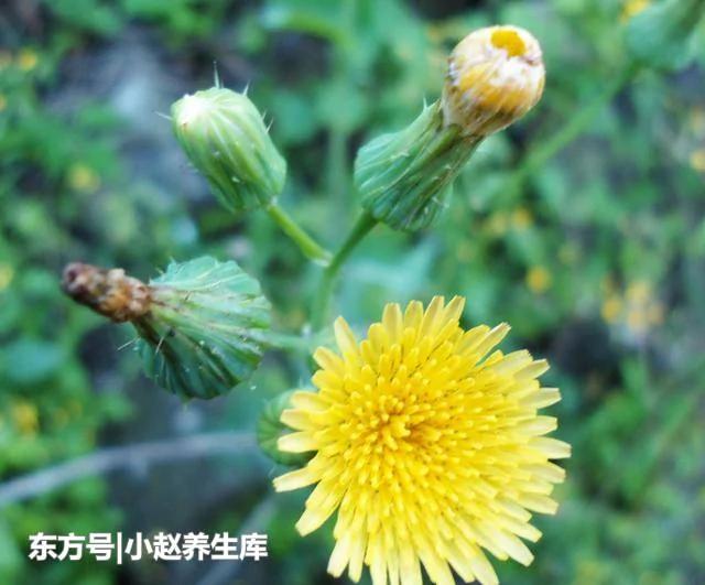 长寿的人 一般都有"三勤 四多" 做到其中一点 离长寿近一步