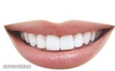 长寿的人 一般都有"三勤 四多" 做到其中一点 离长寿近一步