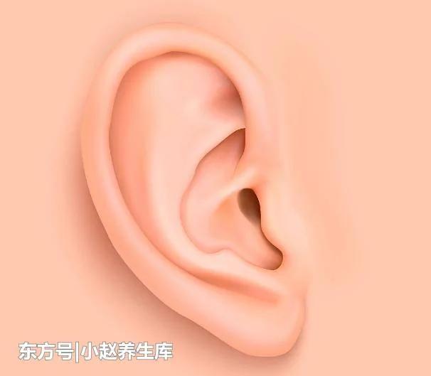 长寿的人 一般都有"三勤 四多" 做到其中一点 离长寿近一步