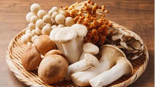 霜降之后进补应该吃什么菜?