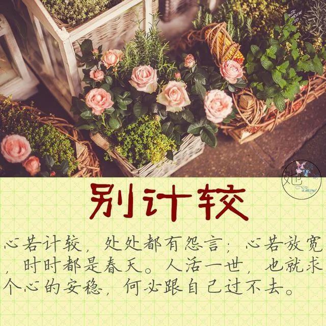 心烦 心累 心苦的时候 看看这11个字!