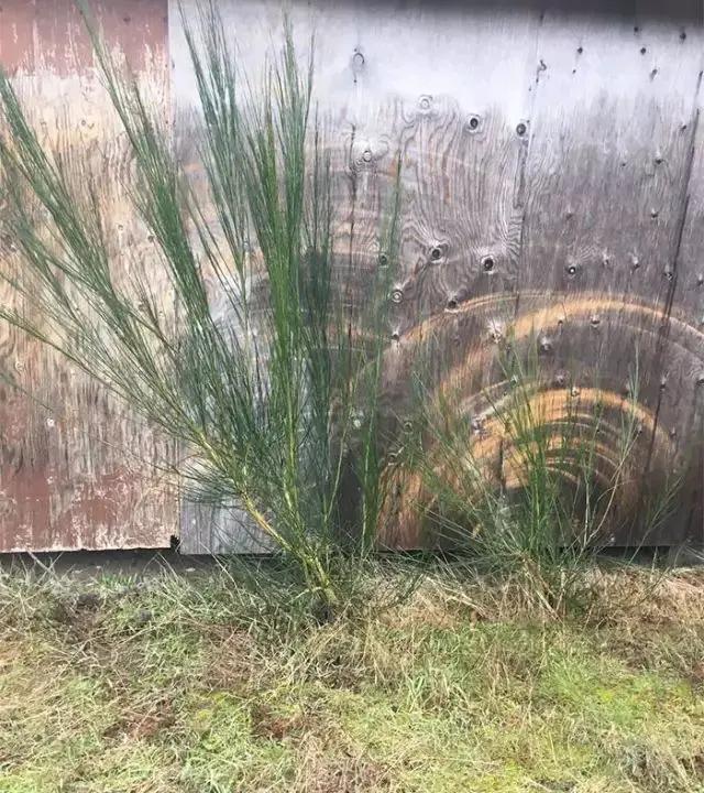 一组照片刷爆朋友圈:那些坚不可摧的 最后都敌不过时间