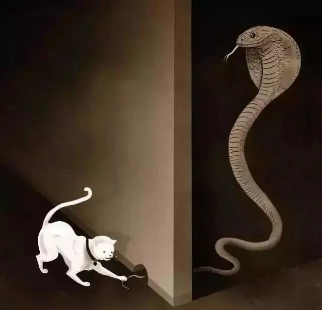 人生到了下半场 对手只剩下自己