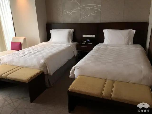 中国小伙入住日本最高的五星酒店 对比来看 这服务态度不得不服!