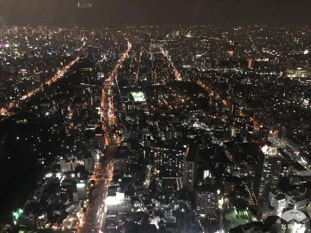 中国小伙入住日本最高的五星酒店 对比来看 这服务态度不得不服!