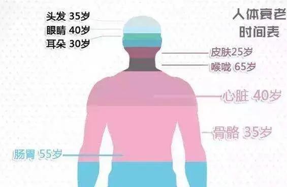 生命就是个衰老的过程 了解一下自己身体一生的变化很重要!