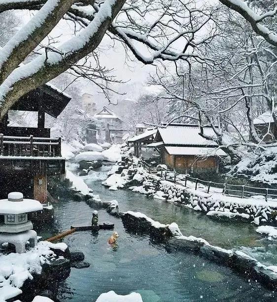 冬天 想和你去北海道 做一对白色恋人的浪漫之旅!