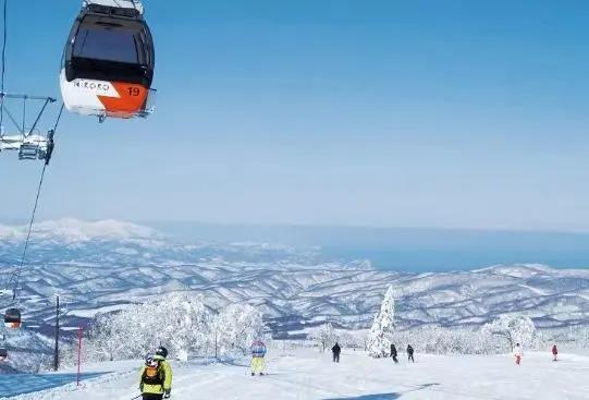 冬天 想和你去北海道 做一对白色恋人的浪漫之旅!