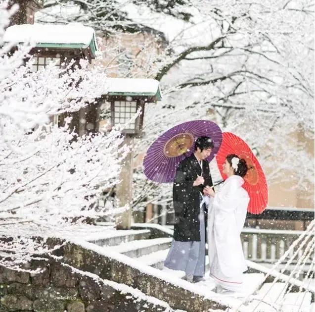 冬天 想和你去北海道 做一对白色恋人的浪漫之旅!
