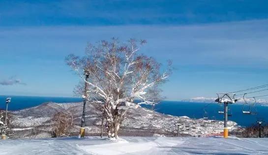 冬天 想和你去北海道 做一对白色恋人的浪漫之旅!