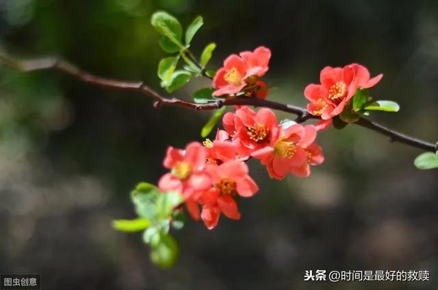 做人 多一点自知之明 少一点自作多情!