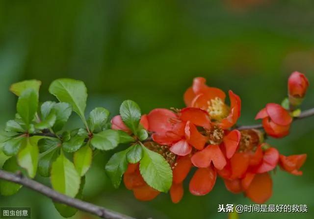 做人 多一点自知之明 少一点自作多情!
