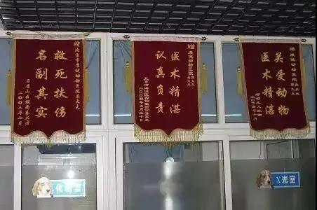 笑疯!宠物医院收到的锦旗太搞笑了!