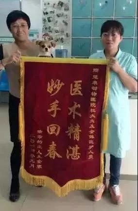 笑疯!宠物医院收到的锦旗太搞笑了!