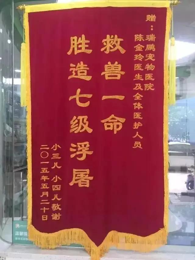 笑疯!宠物医院收到的锦旗太搞笑了!
