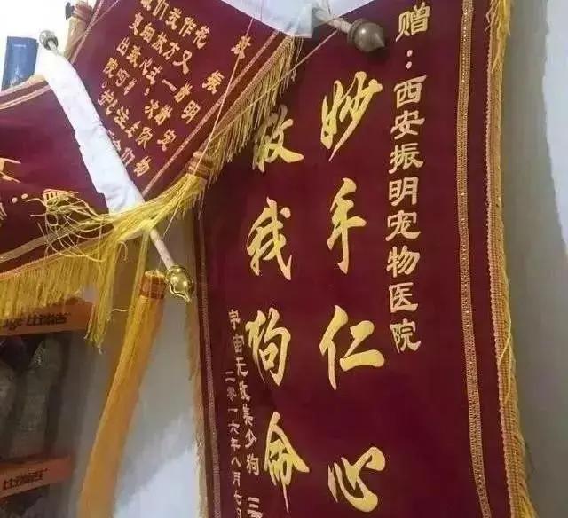 笑疯!宠物医院收到的锦旗太搞笑了!