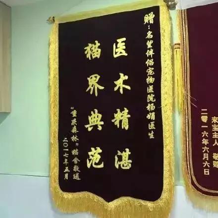 笑疯!宠物医院收到的锦旗太搞笑了!