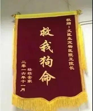 笑疯!宠物医院收到的锦旗太搞笑了!
