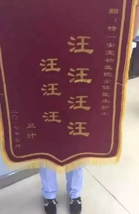 笑疯!宠物医院收到的锦旗太搞笑了!