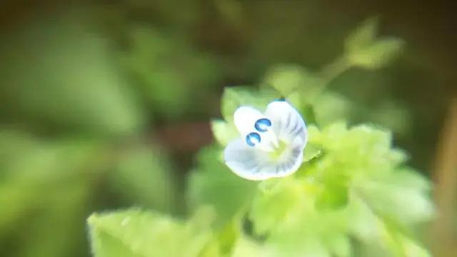 深度好文:人生 聚散!