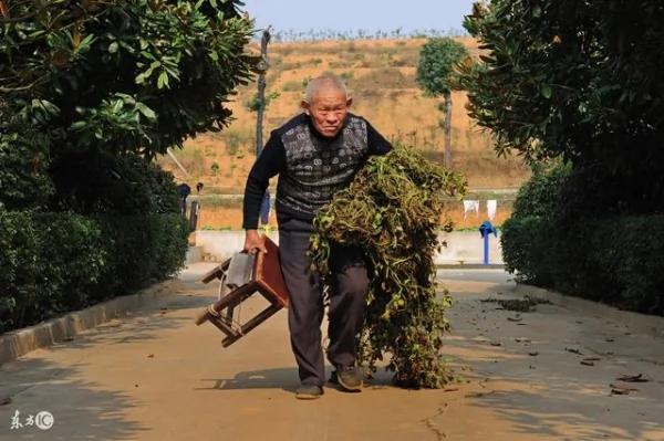 娶妻后他把养父赶出家 一年后十辆豪华跑车停在家门前!