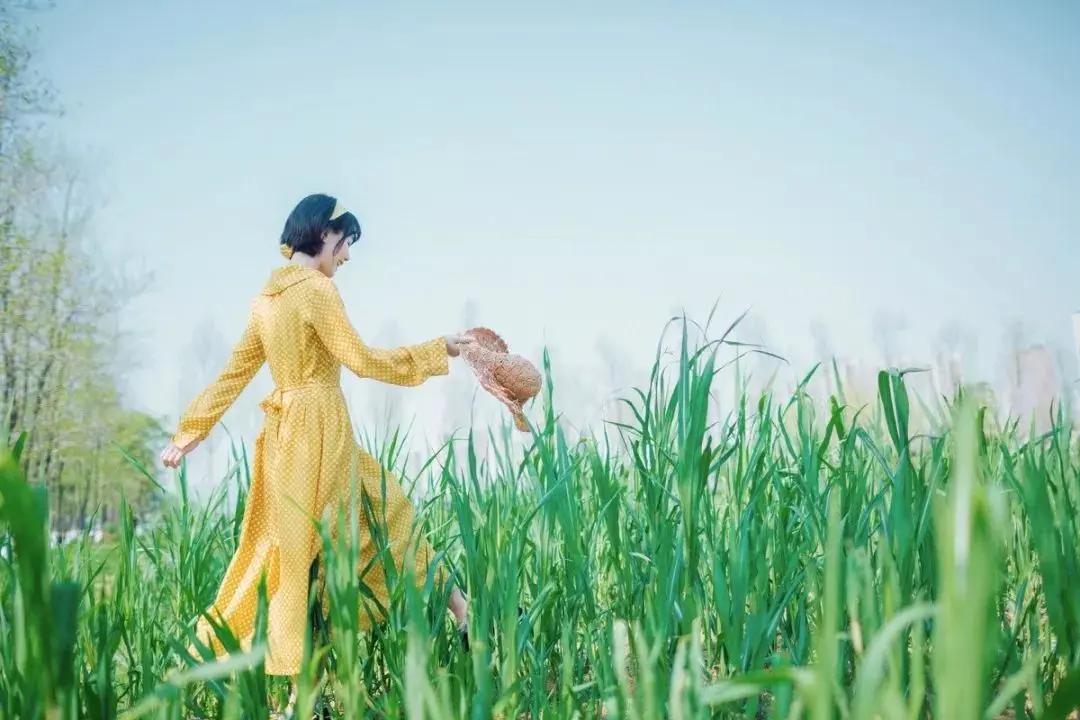笑的力量 读过整个人治愈了