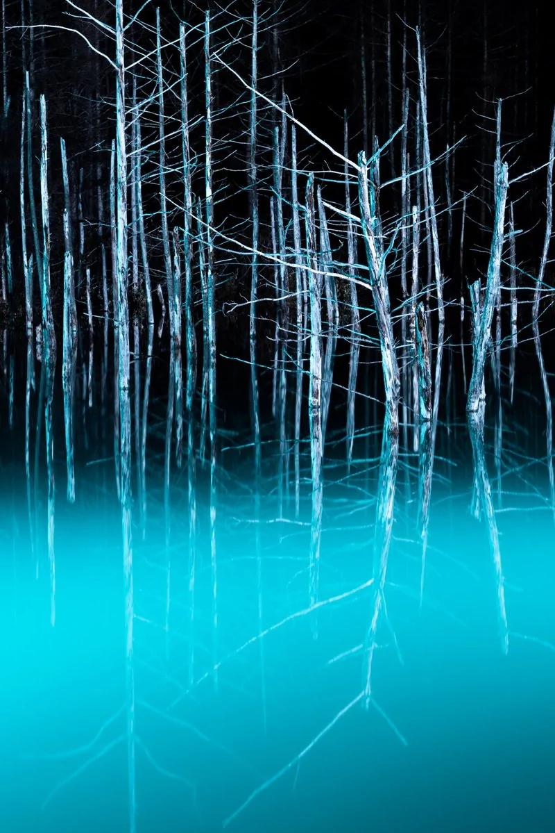 北海道青池初落雪美到不似人间 一到夜晚瞬间变成魔幻风景!