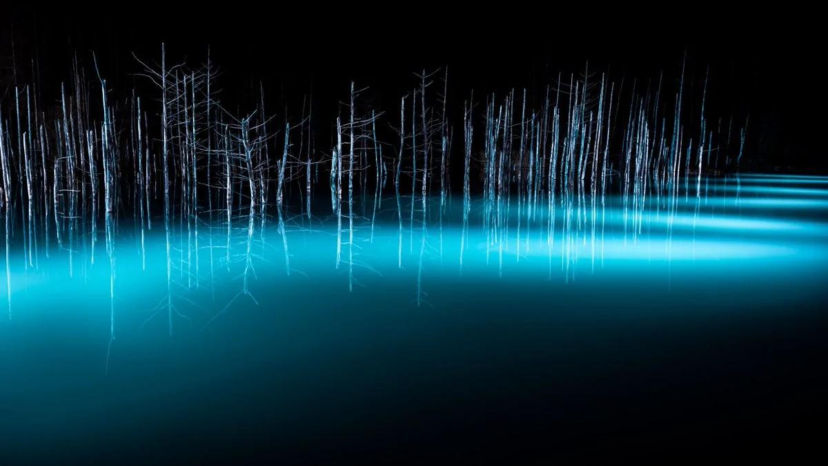 北海道青池初落雪美到不似人间 一到夜晚瞬间变成魔幻风景!