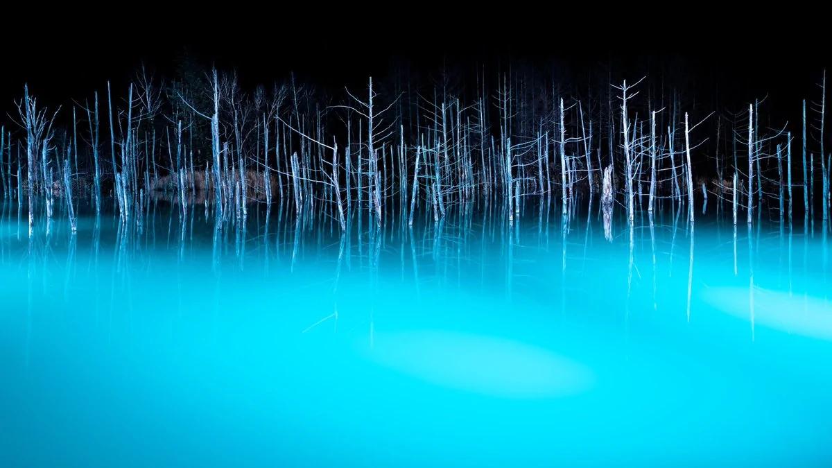 北海道青池初落雪美到不似人间 一到夜晚瞬间变成魔幻风景!